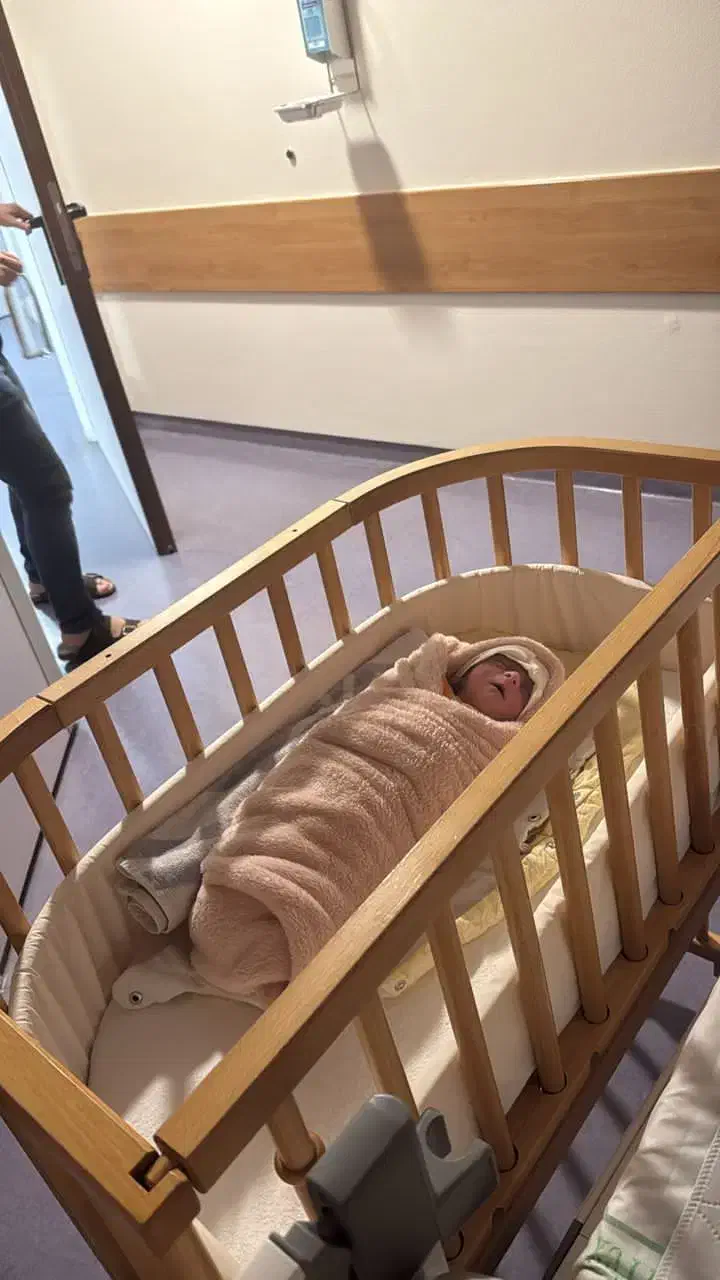 نجار ماهر و نیمه ماهر|استخدام صنعتی، فنی، مهندسی|دماوند, دماوند|دیوار