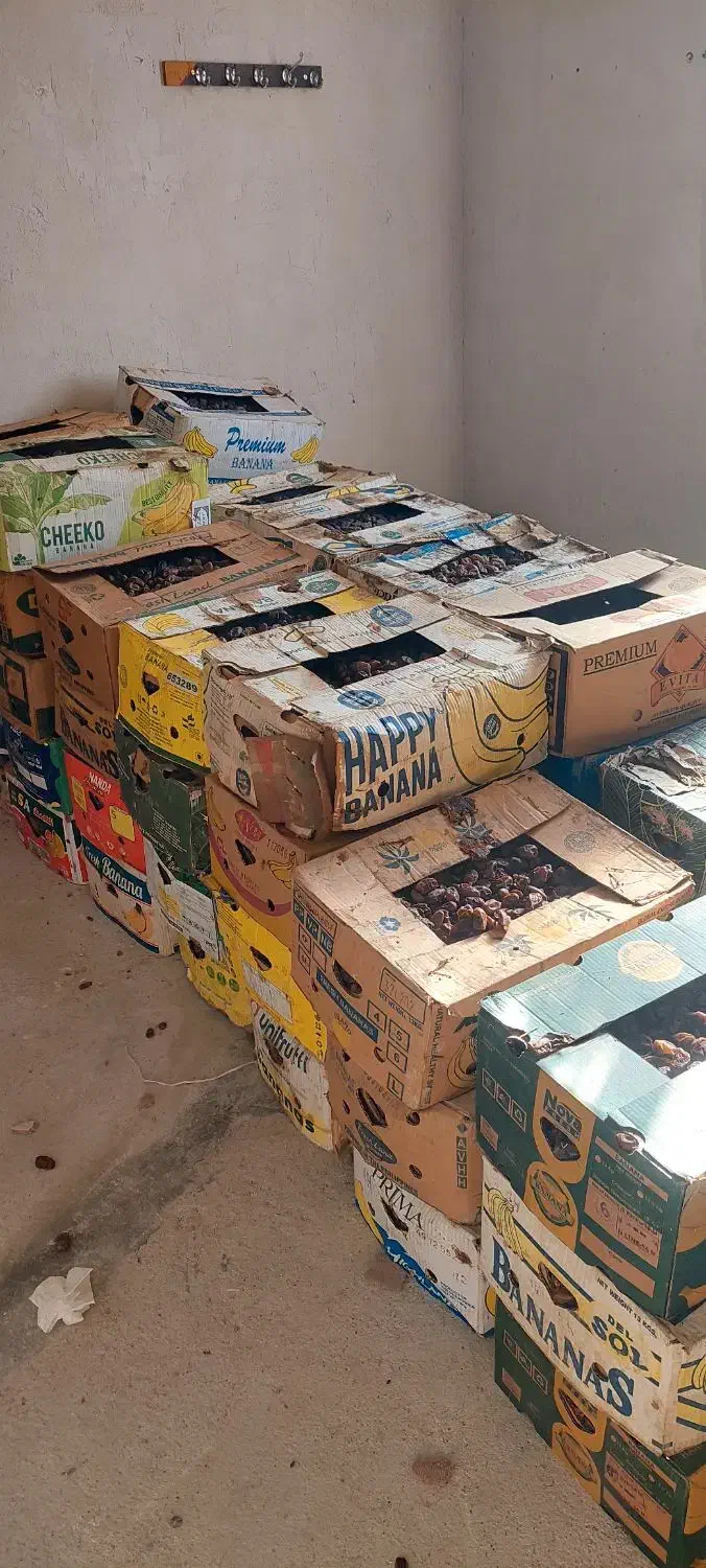 خرما کبکاب|عمدهفروشی|آبپخش, |دیوار