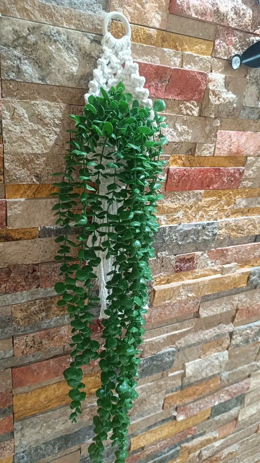 انواع ریسه ها و شمشاد سبز و گلدان|گل مصنوعی|اهواز, پادادشهر|دیوار