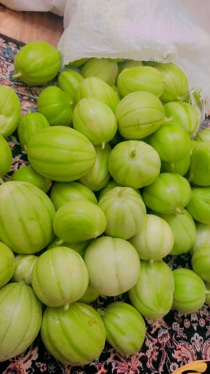 پشمک|خوردنی و آشامیدنی|زابل, |دیوار