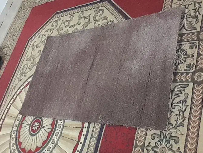 پالاز موکت|موکت|یاسوج, |دیوار