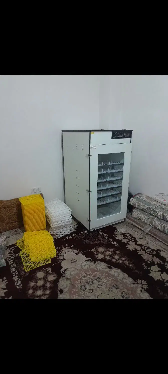 دستگاه جوجه کشی هدایت|لوازم جانبی حیوانات|یاسوج, |دیوار