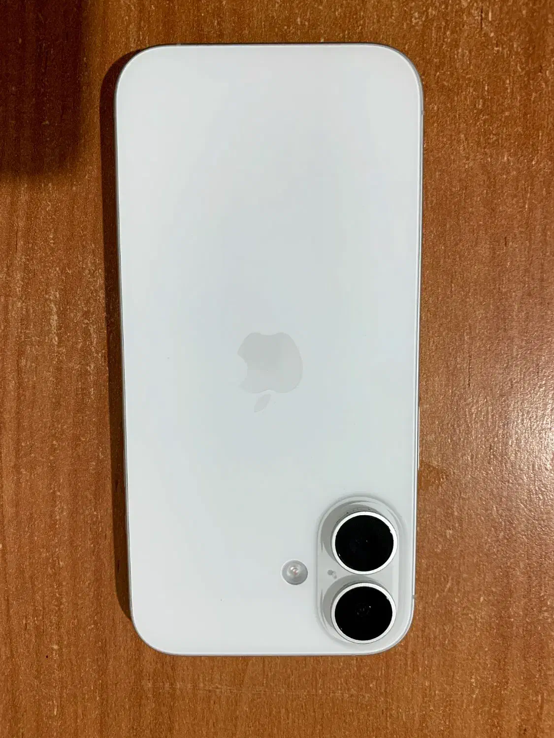 16نرمال باطری 100|موبایل|مشهد, فاطمیه|دیوار