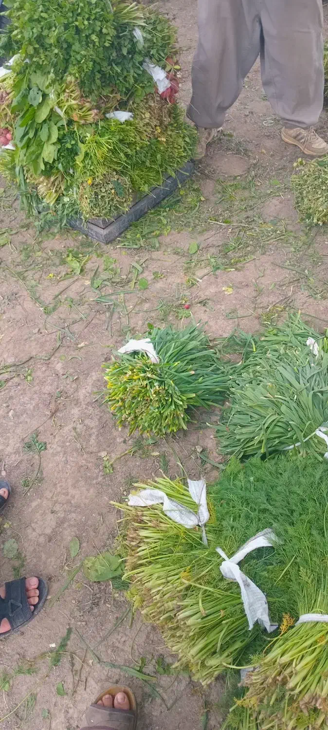 سبزی|خوردنی و آشامیدنی|مشهد, ثامن|دیوار