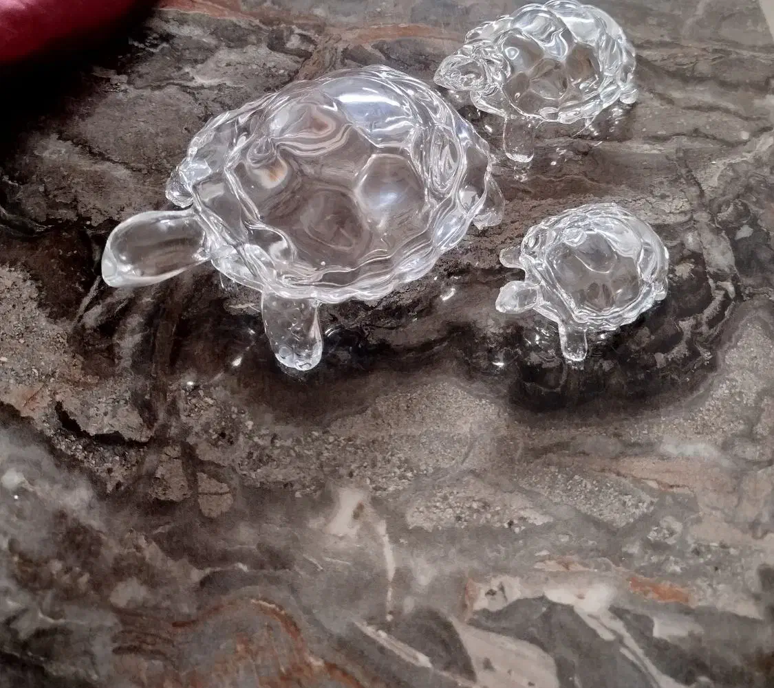 مجسمه لاک پشت شیشه ای نو|مجسمه، تندیس، ماکت|زنجان, |دیوار