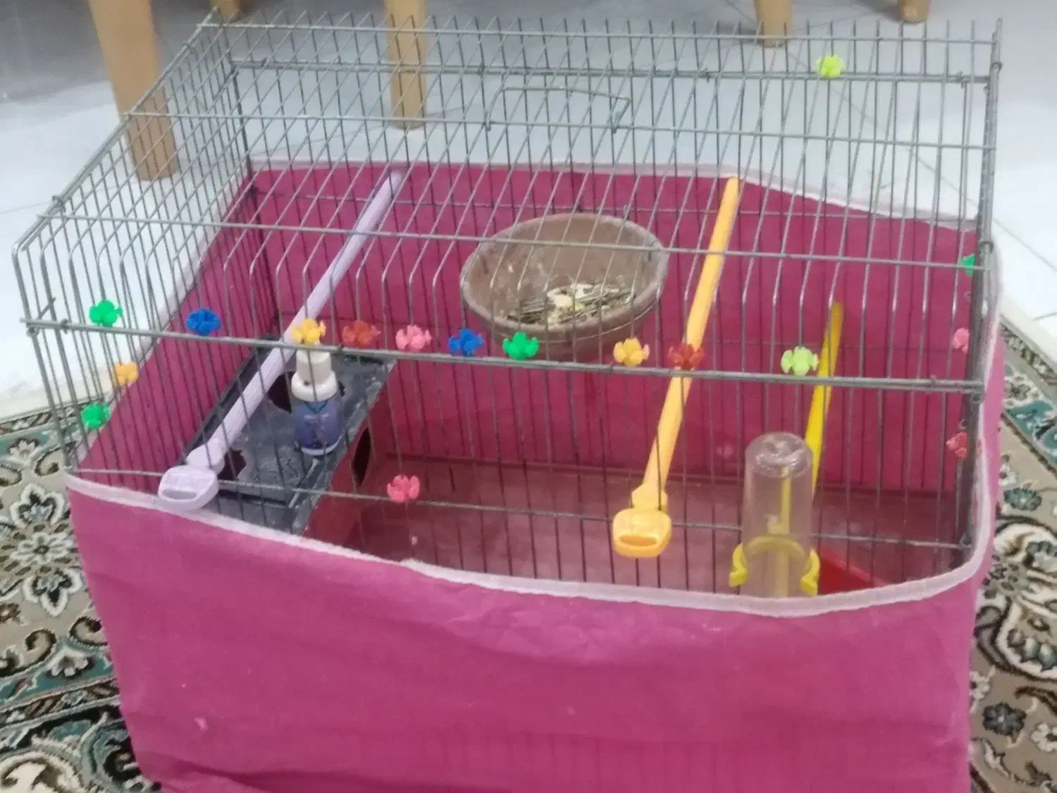 قفس پرنده|لوازم جانبی حیوانات|شیراز, شهرک مفتح|دیوار