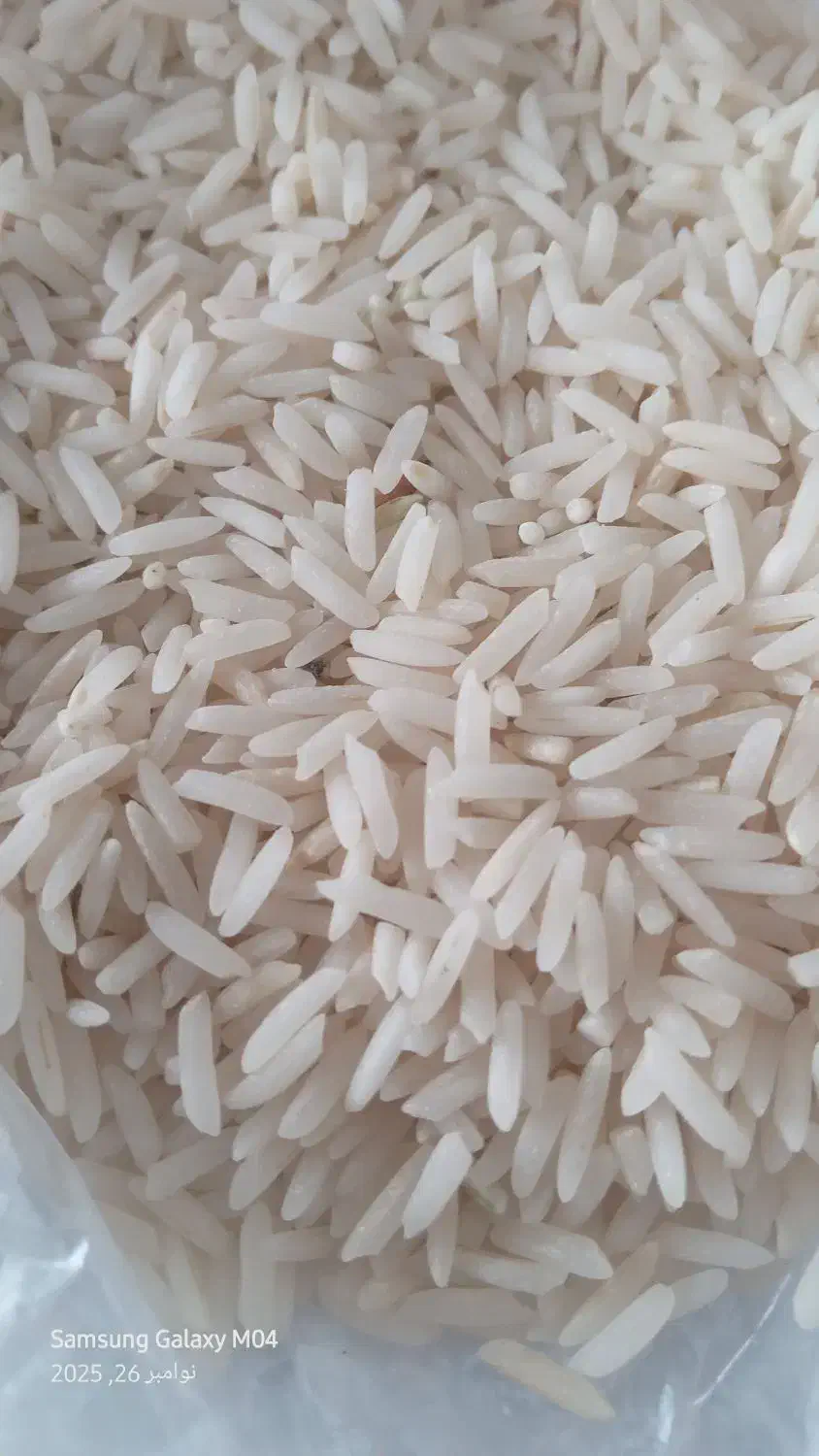 فروش برنج طارم هاشمی شیرودی|عمدهفروشی|بابلسر, |دیوار