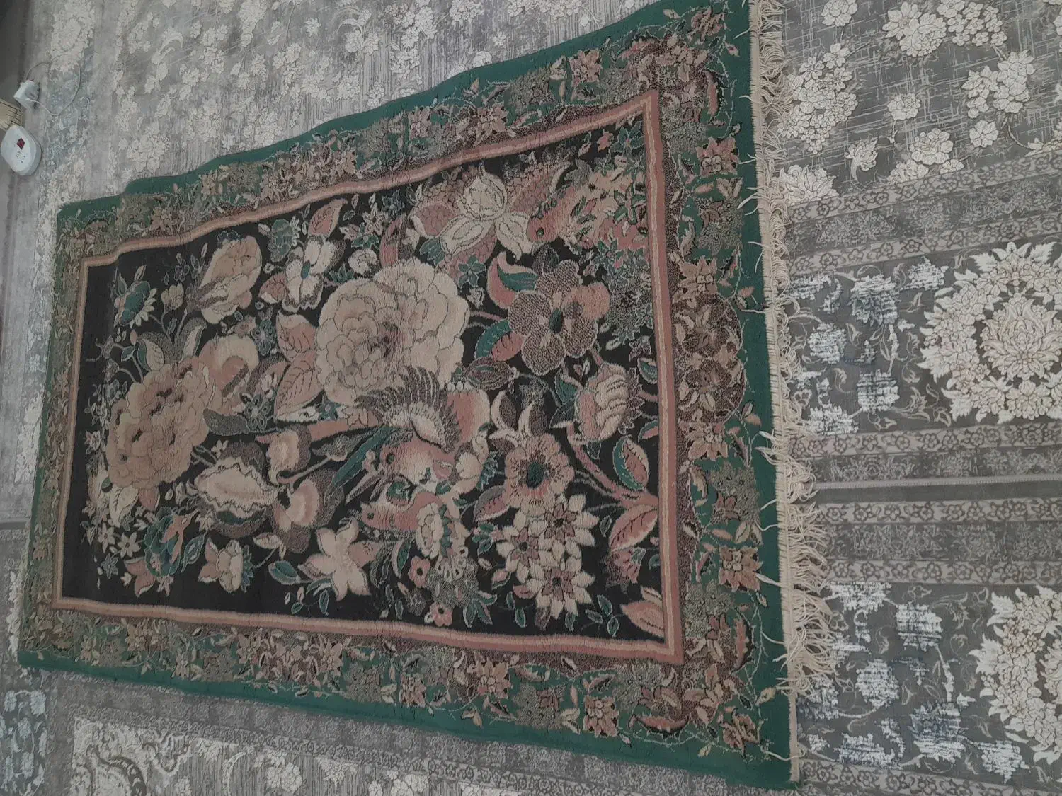 فرش راهرویی حراج|فرش|بندرعباس, |دیوار