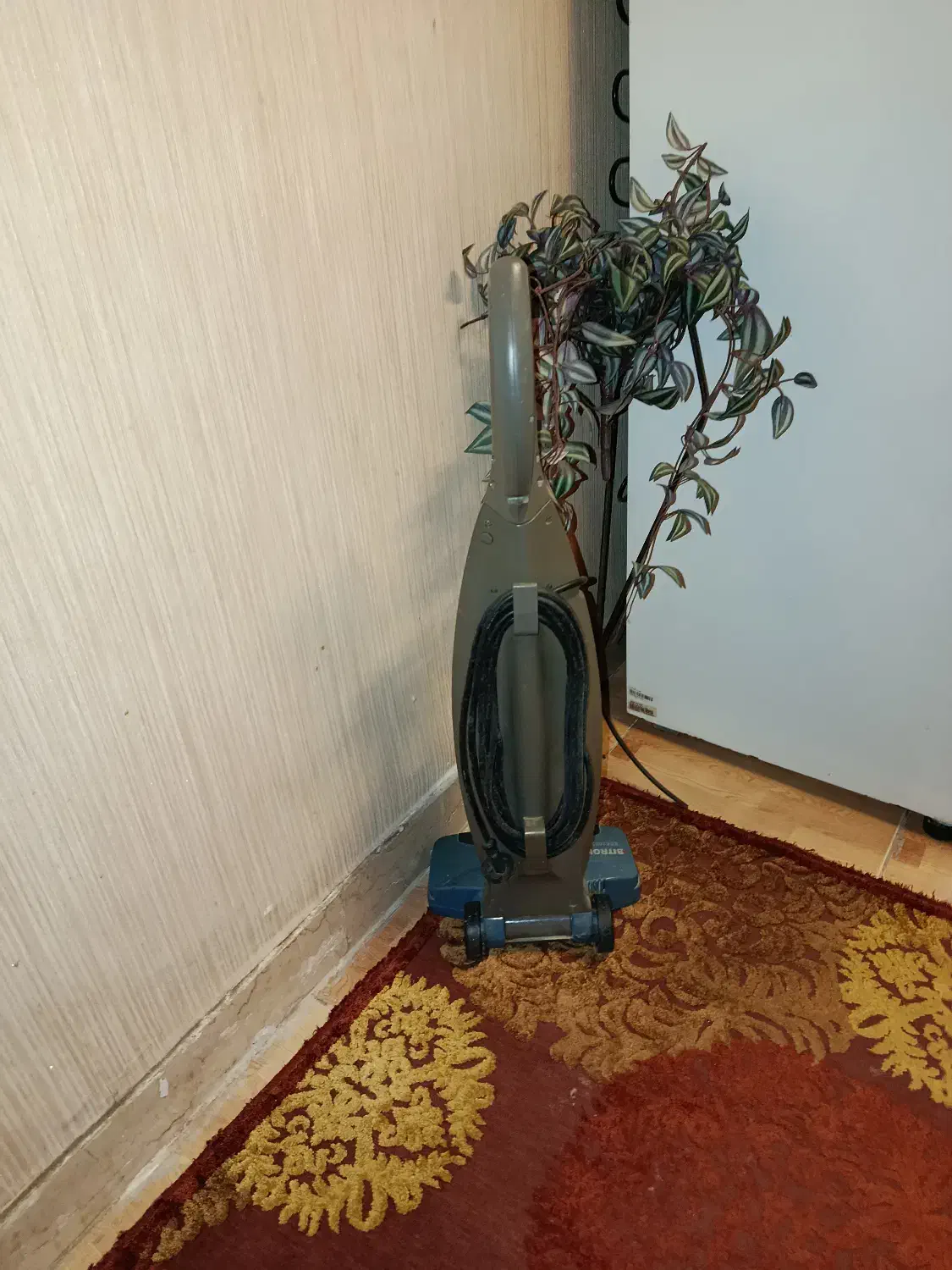 جارو برقی ایستاده (عصایی)|جاروبرقی، جارو شارژی، بخارشو|رشت, منظریه|دیوار