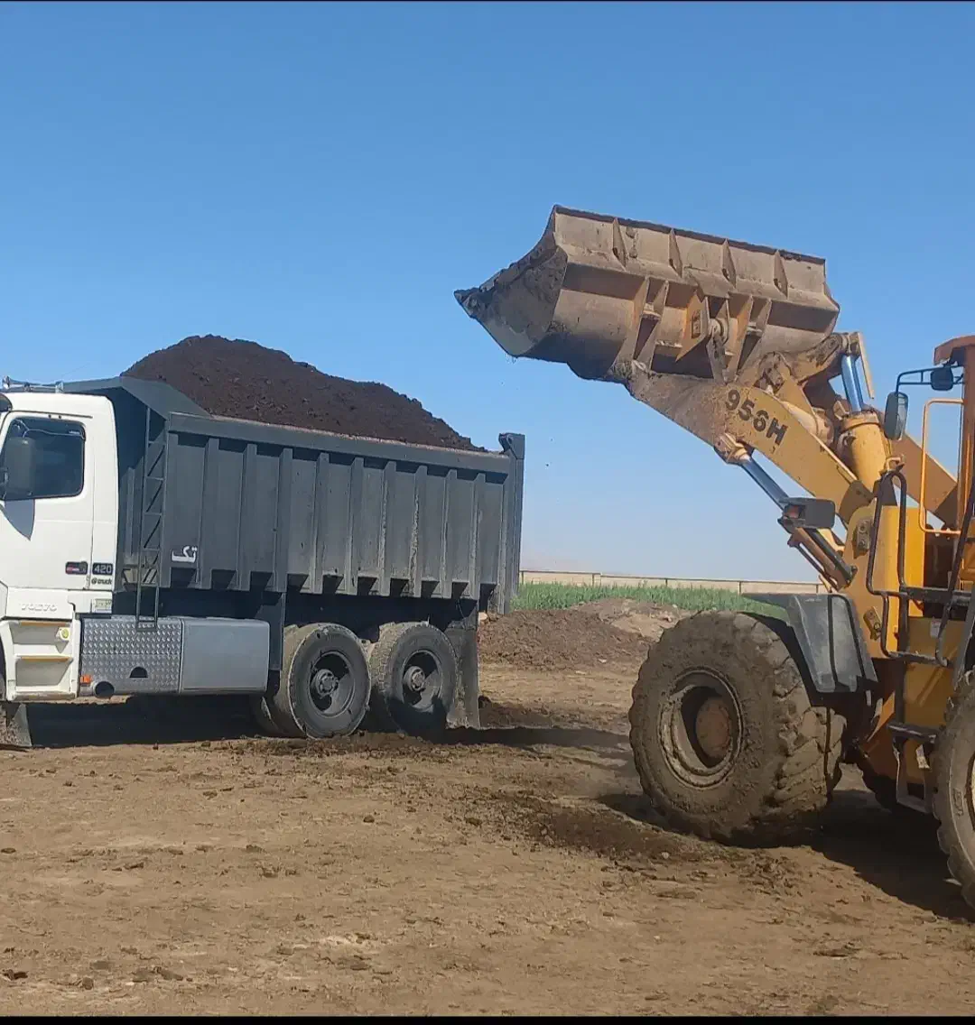 فروش کود گاوی مرغوب|خدمات باغبانی و درختکاری|آبسرد, |دیوار