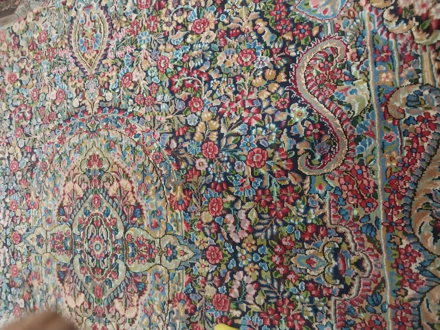 ۱۲ متری راوری|فرش|کرمان, |دیوار