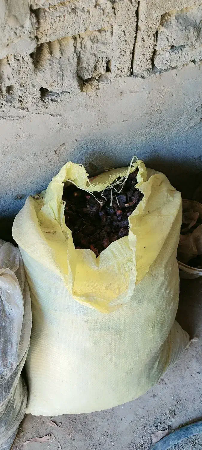 خرمای خشک سلنگ|حیوانات مزرعه|تخت, |دیوار