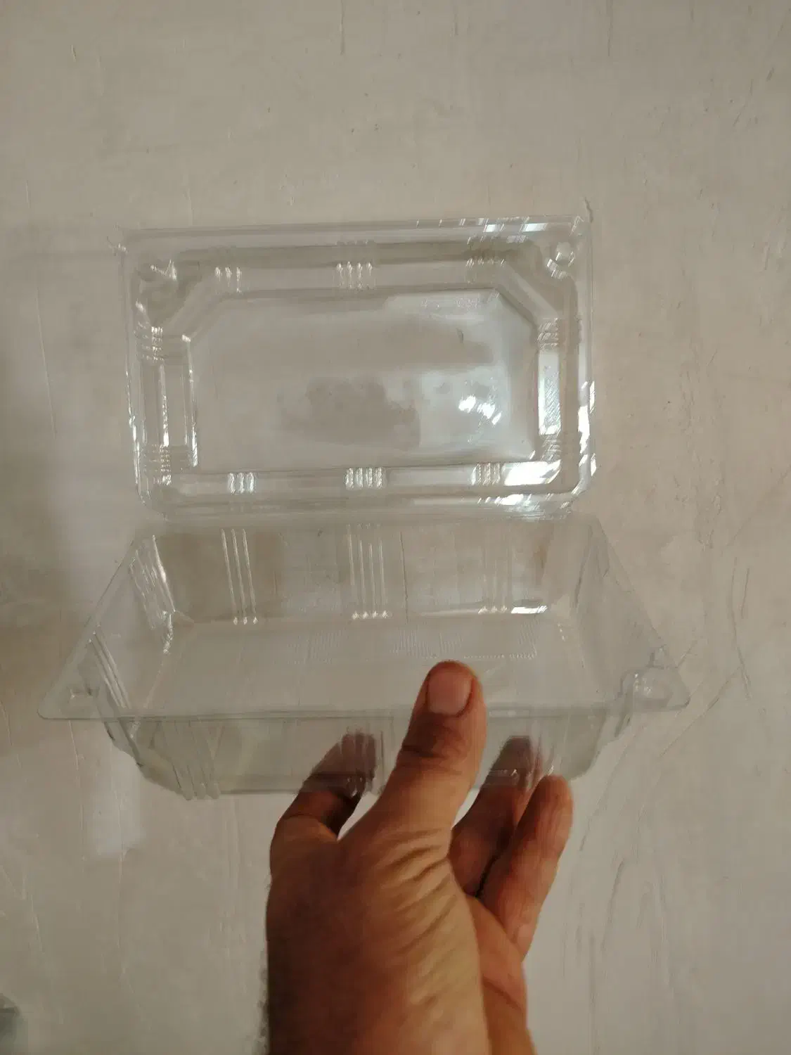 ظرف پک یکبار مصرف|ظروف نگهدارنده، پلاستیکی، یک‌بارمصرف|برازجان, |دیوار