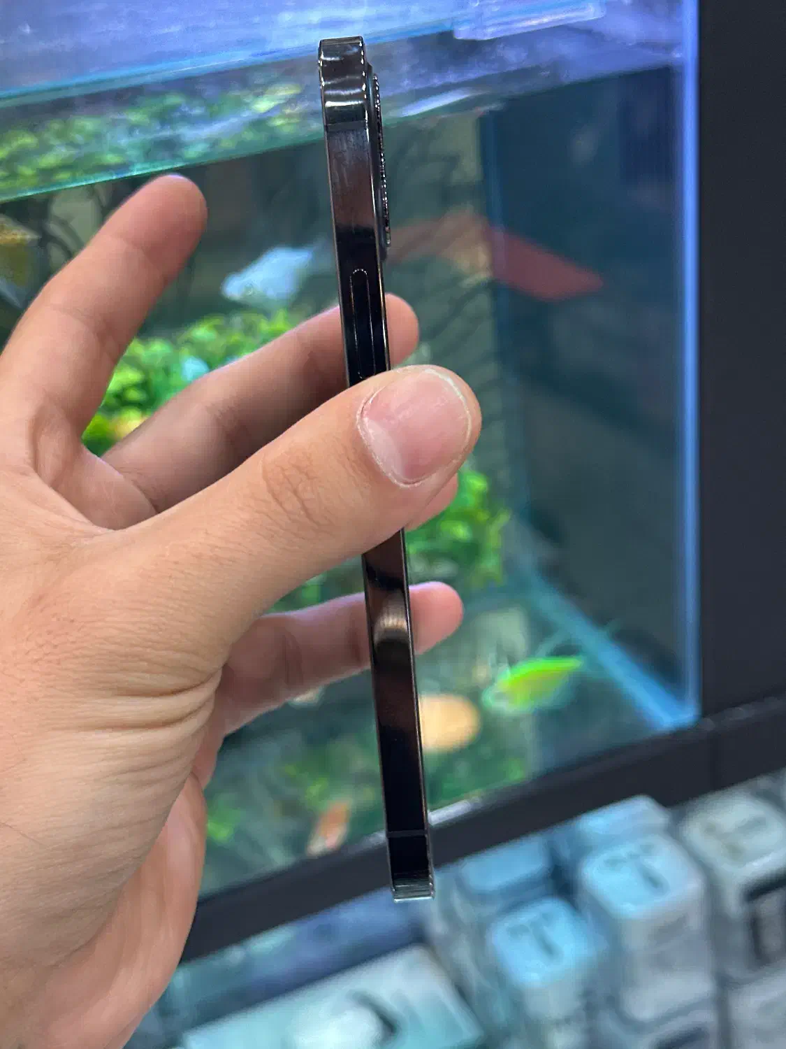 12pro|موبایل|شیراز, زند|دیوار