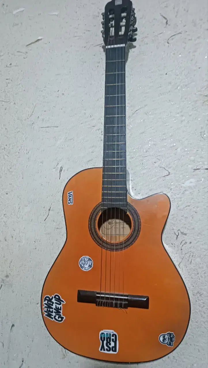 گیتار دیاموند|گیتار، بیس، امپلیفایر|نیشابور, بلوار گلها|دیوار