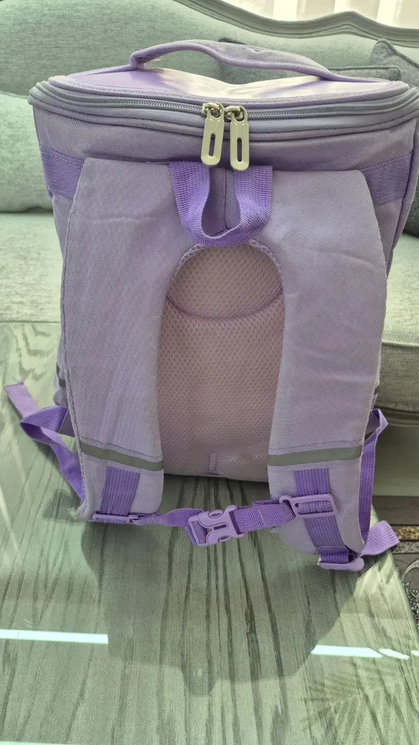 کوله پشتی دخترانه|کیف، کفش، کمربند|مشهد, دانشجو|دیوار