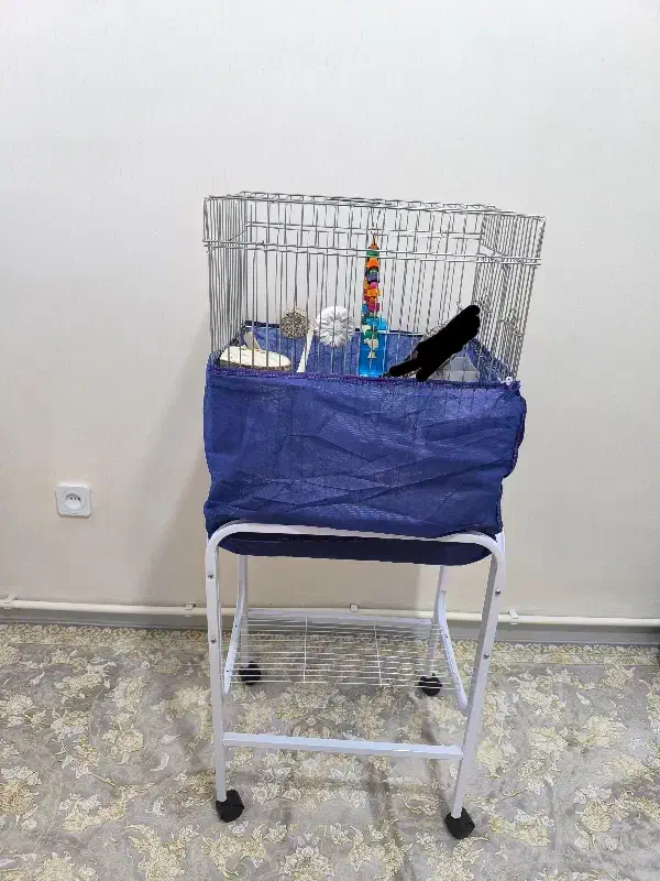 قفس و پایه نگهدارنده|لوازم جانبی حیوانات|روانسر, |دیوار