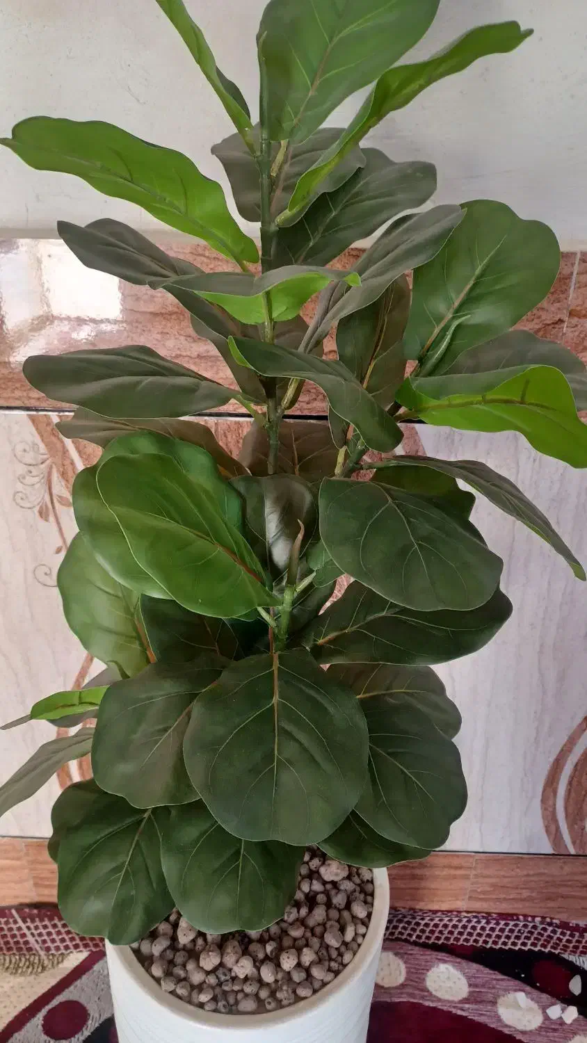 درختچه مصنوعی شکوفه با تنه طبیعی|گل مصنوعی|رامشیر, |دیوار