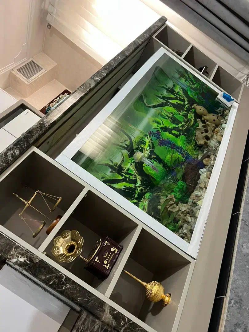 آکواریوم و اپن|میز و صندلی غذاخوری|همدان, |دیوار