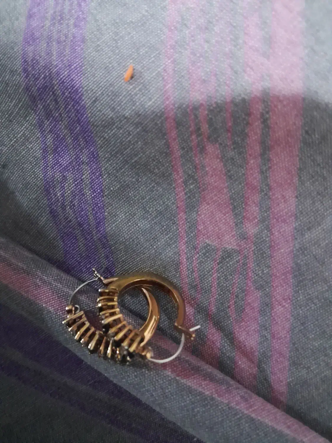 گوشواره بدلیجات|بدلیجات|شیراز, اصلاح‌نژاد|دیوار