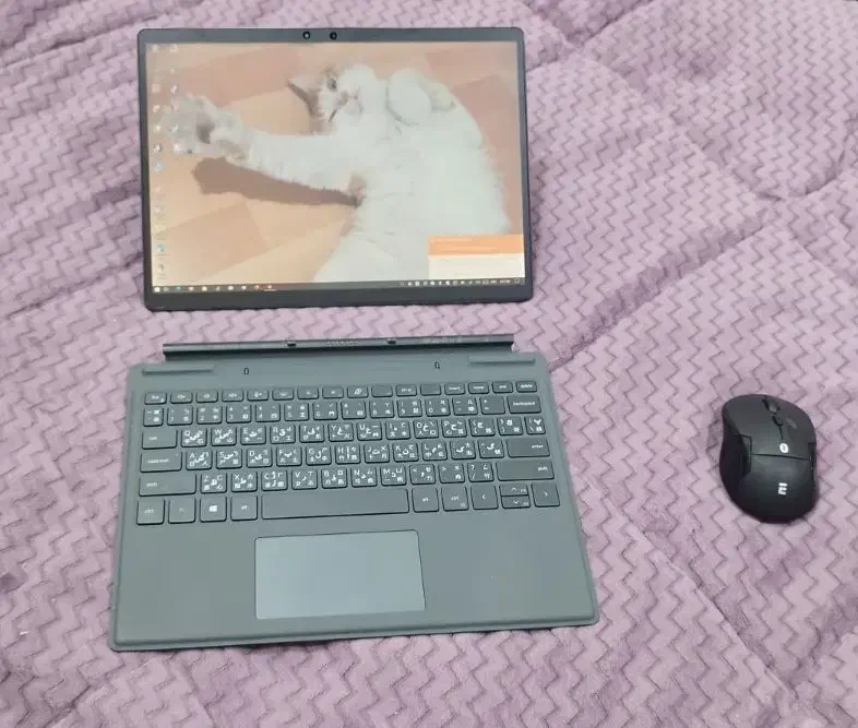 لپ تاپ Dell|رایانه همراه|رشت, معلم|دیوار