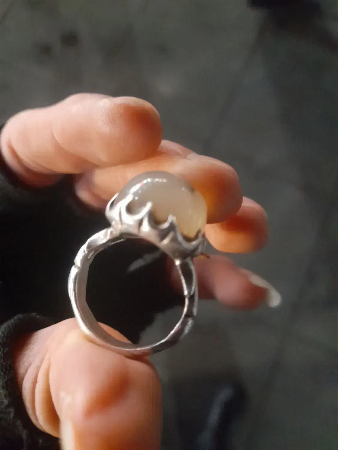 انکشتر شجر|جواهرات|رشت, حمیدیان|دیوار