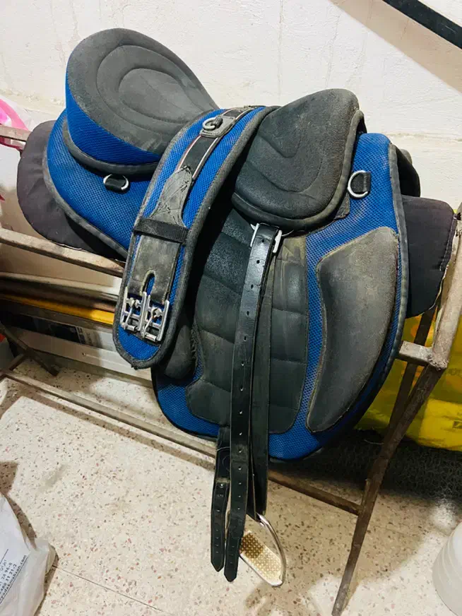 زین اسب|اسب و تجهیزات اسب‌سواری|کوهسار (البرز), |دیوار