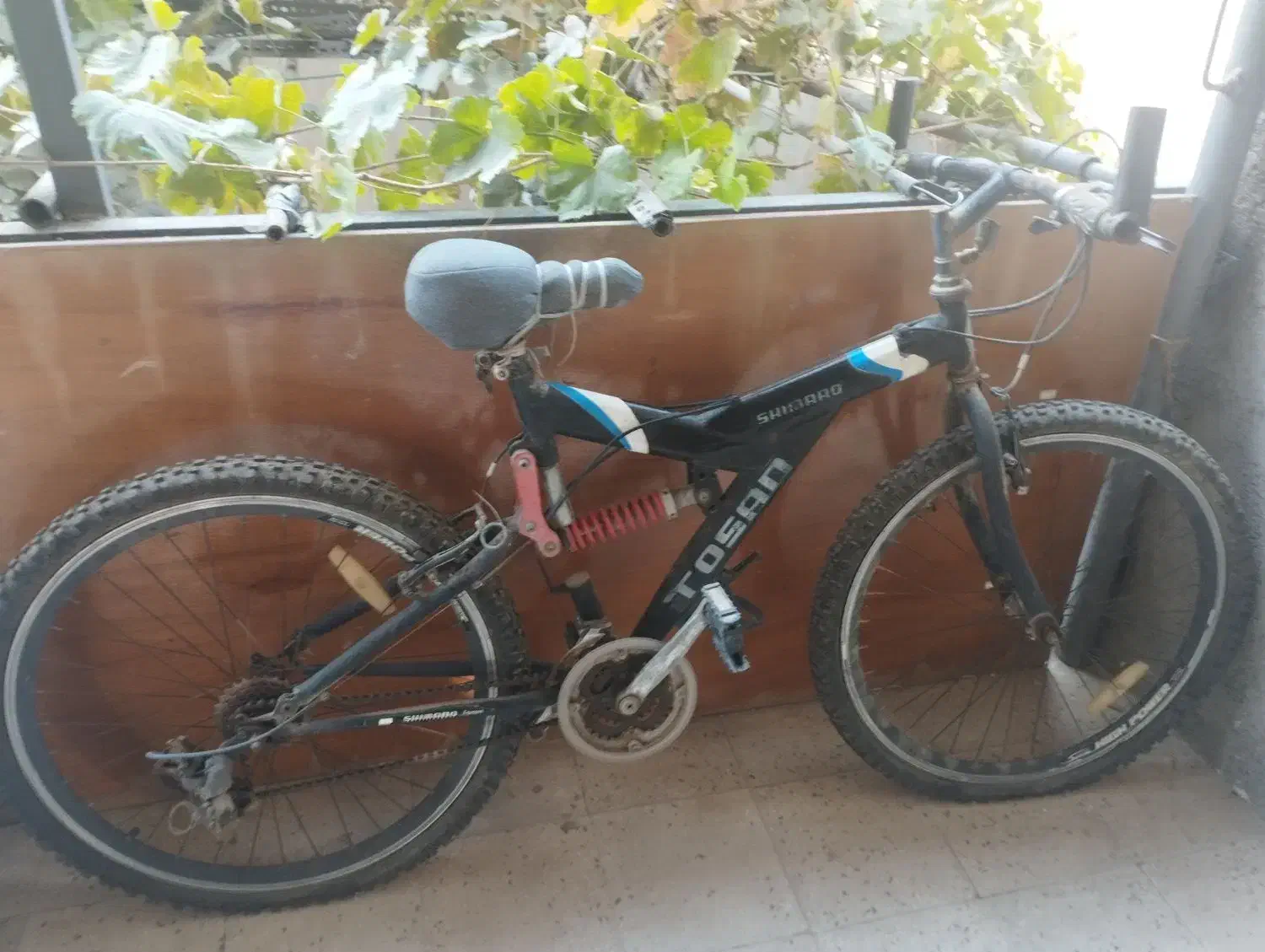 دوچرخه|دوچرخه، اسکیت، اسکوتر|بهار, |دیوار