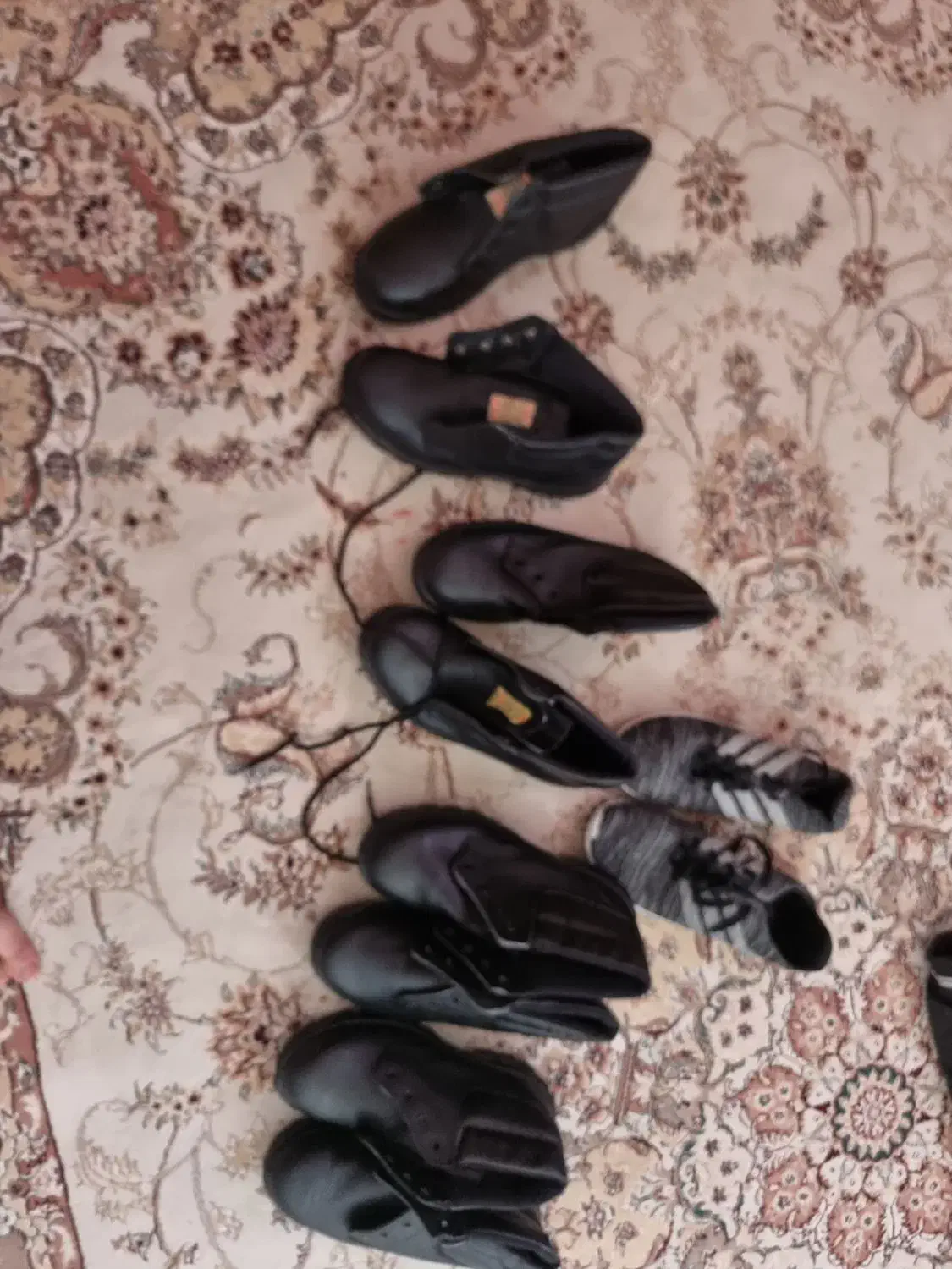 کفش ایمنی ذوب اهن|کیف، کفش، کمربند|فلاورجان, |دیوار