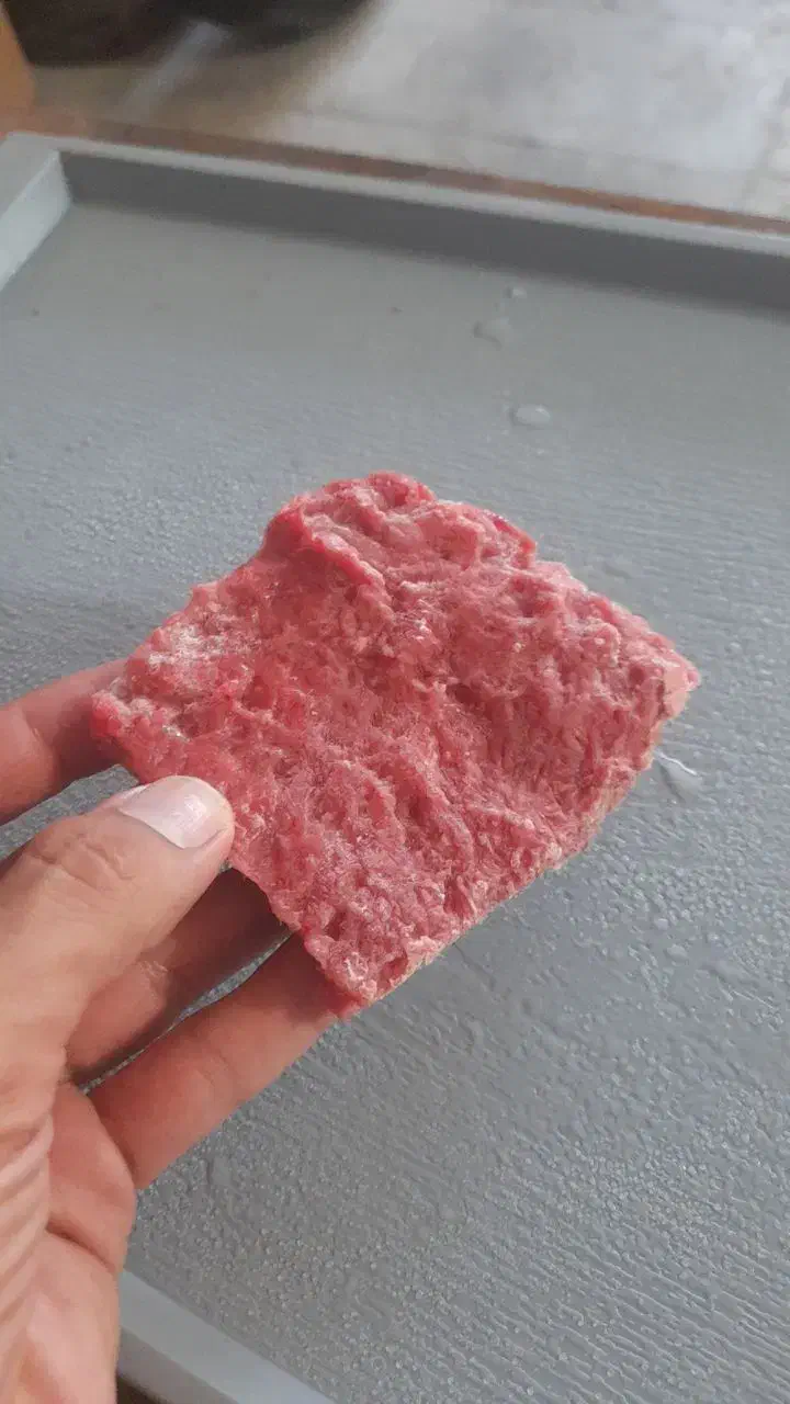 غذای گربه و سگ|لوازم جانبی حیوانات|بیرجند, |دیوار