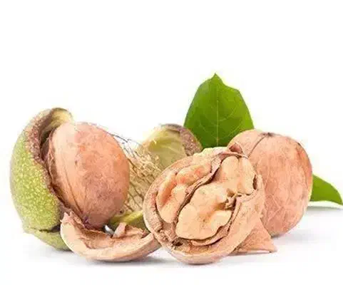 فروش درخت گردو لارا دیرگل|خدمات باغبانی و درختکاری|ارزوئیه, |دیوار