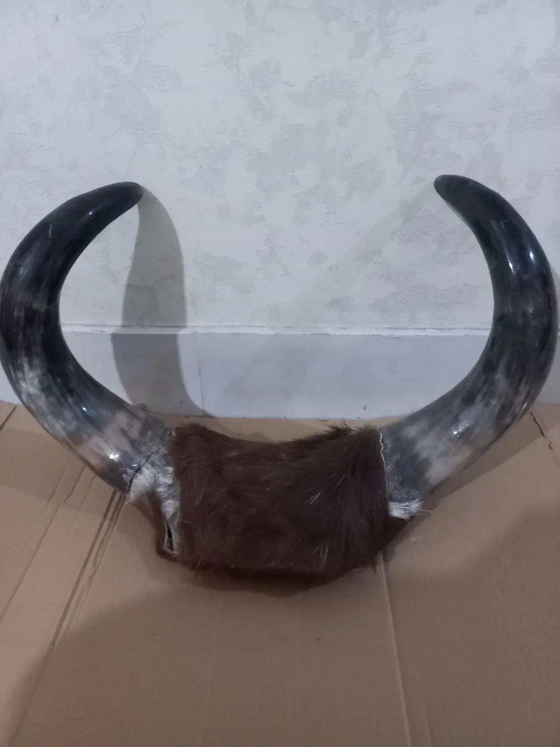 شاخ دکوری|مجسمه، تندیس، ماکت|ملایر, |دیوار