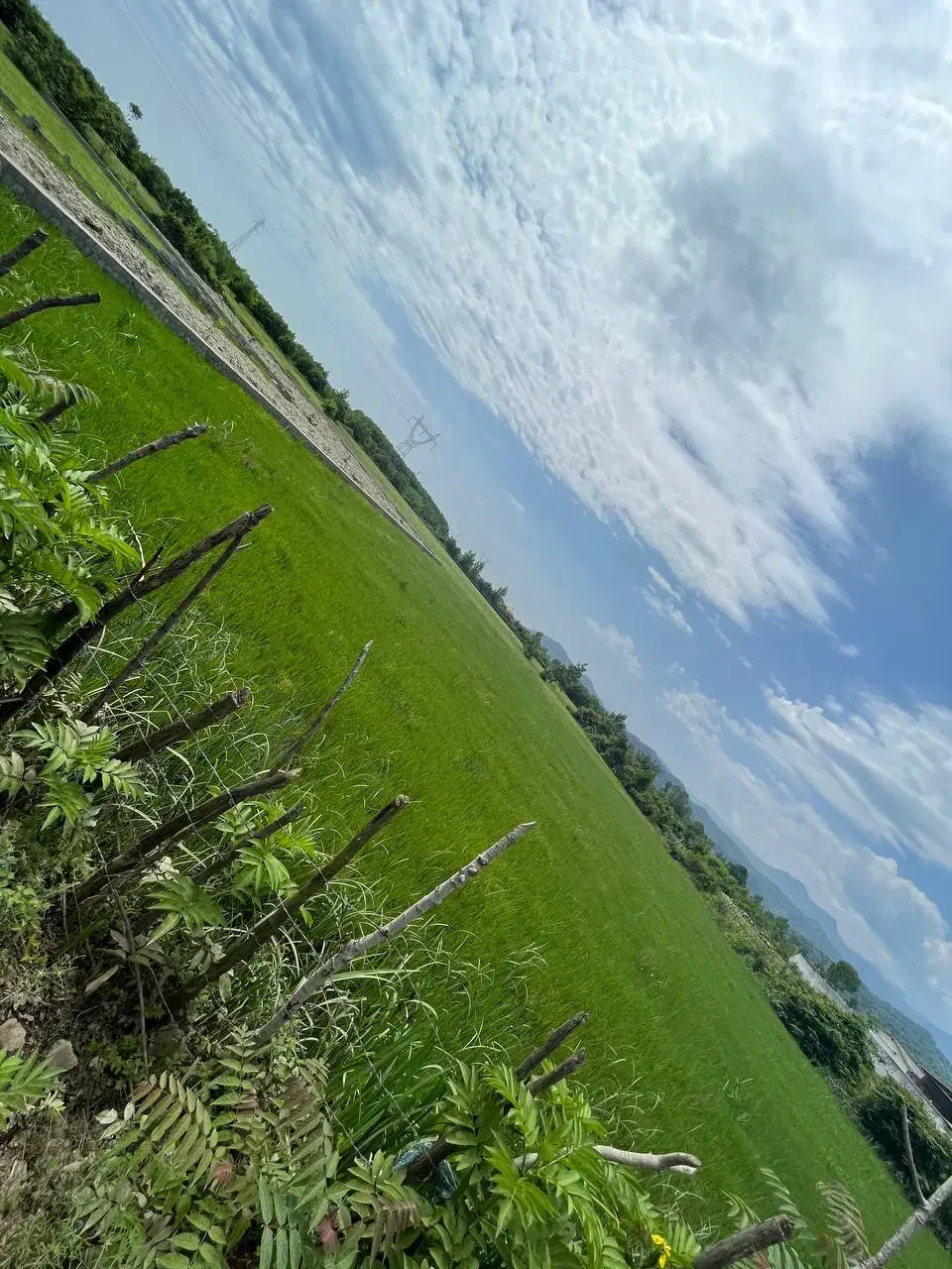 فروش زمین ۵۰۰۰ متری|فروش زمین و ملک کلنگی|آستارا, |دیوار