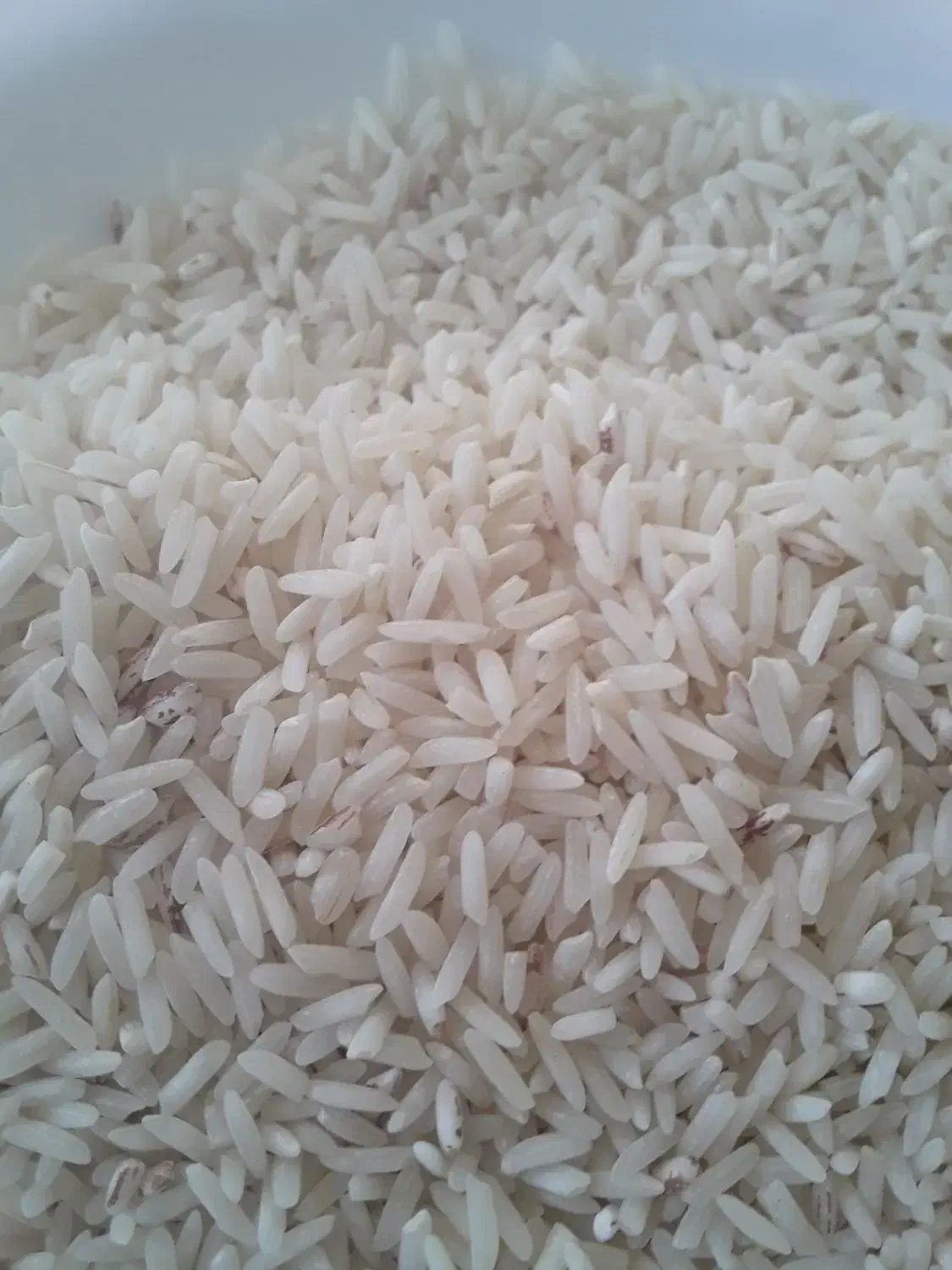 برنج طارم|خوردنی و آشامیدنی|ایلام, |دیوار