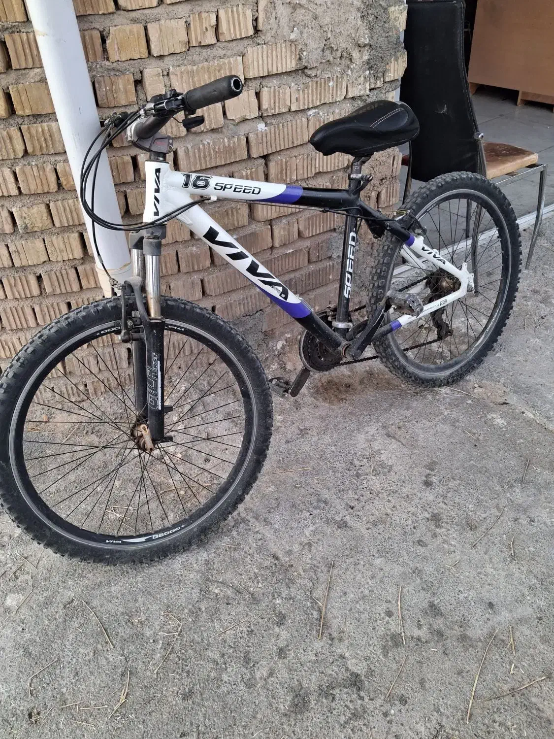 دوچرخه|دوچرخه، اسکیت، اسکوتر|نی‌ریز, |دیوار