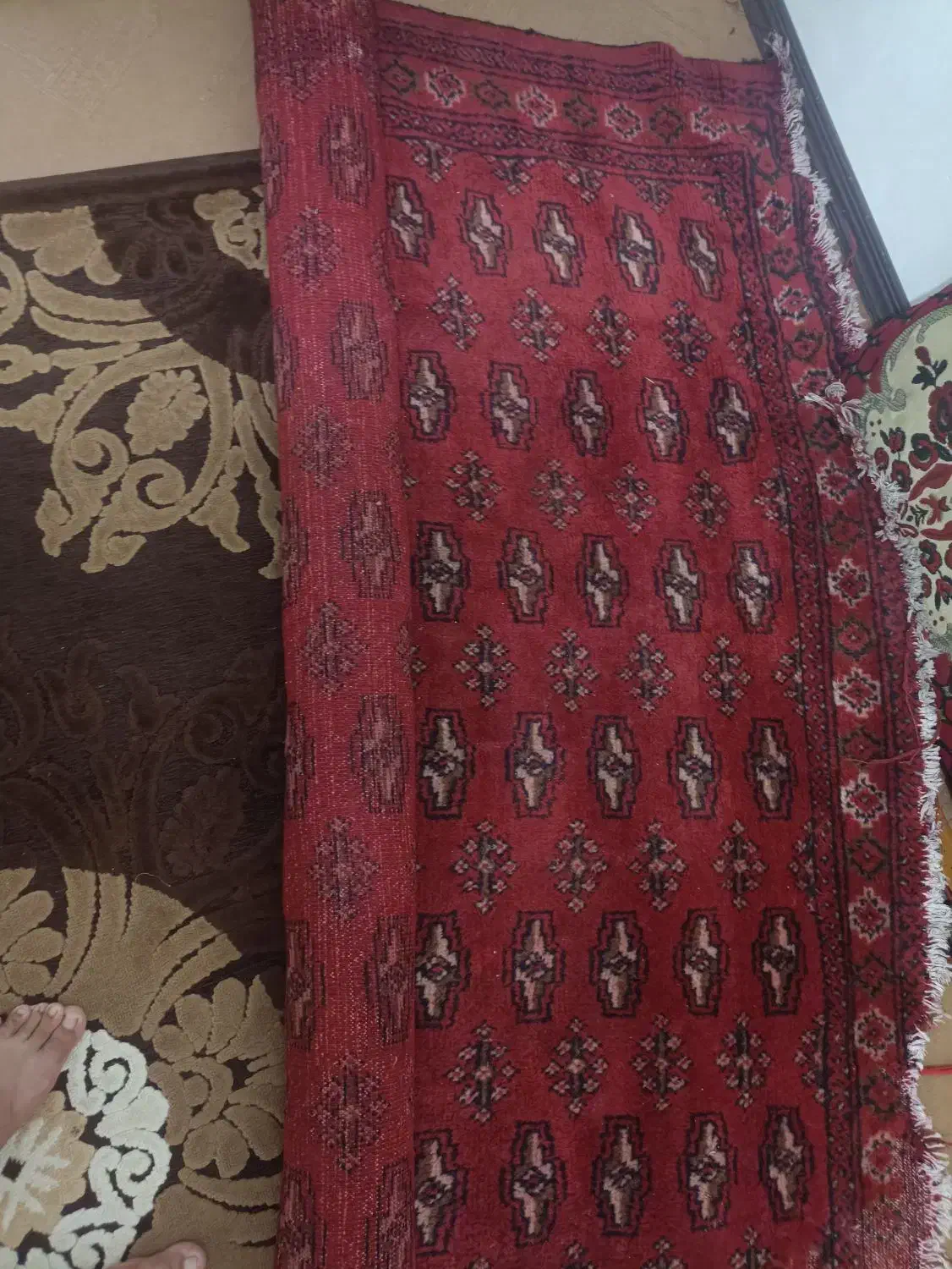 فرش|فرش|دلند, |دیوار