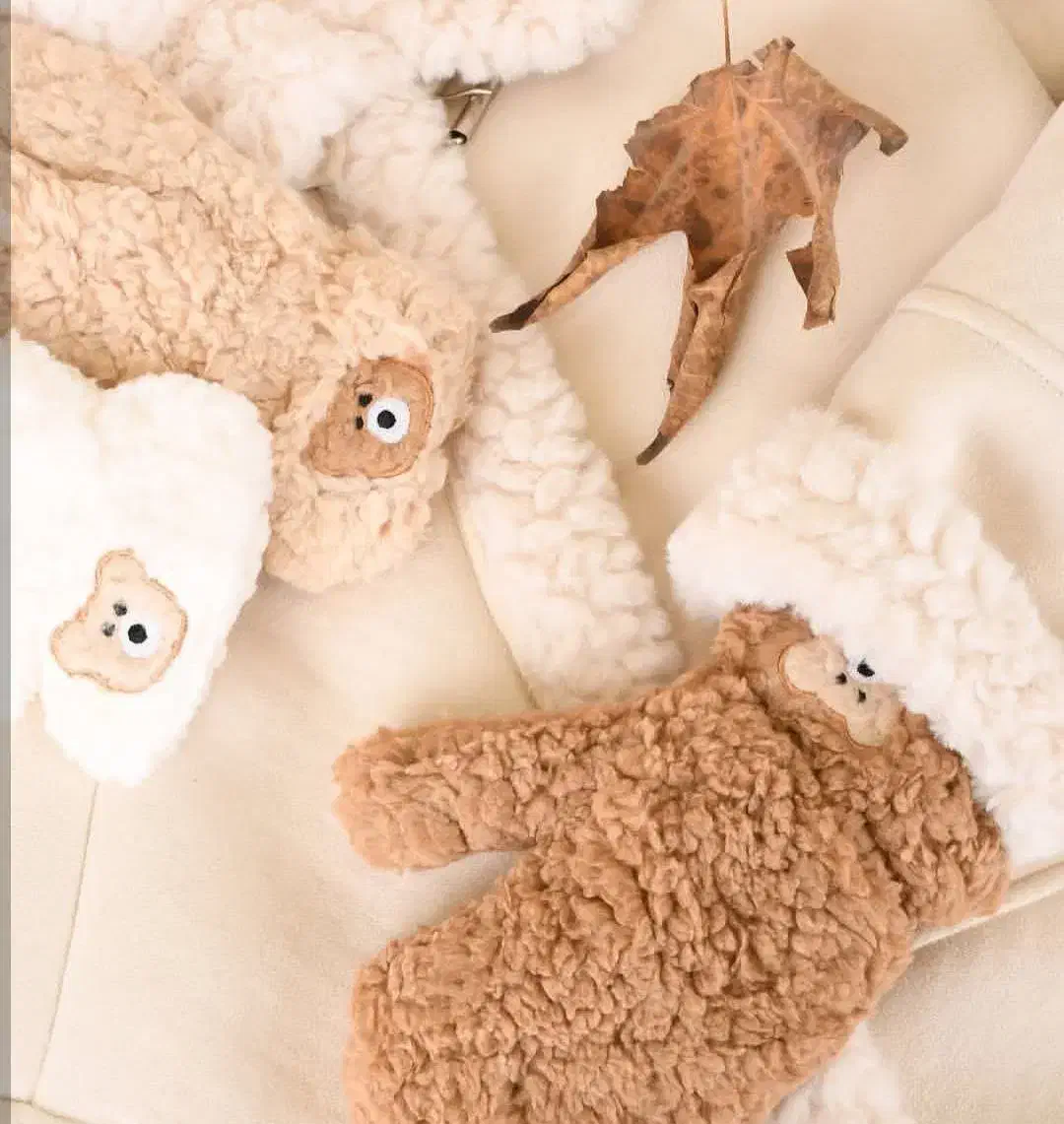 دستکش تدی|ورزش‌های زمستانی|مشهد, تربیت (صدف)|دیوار