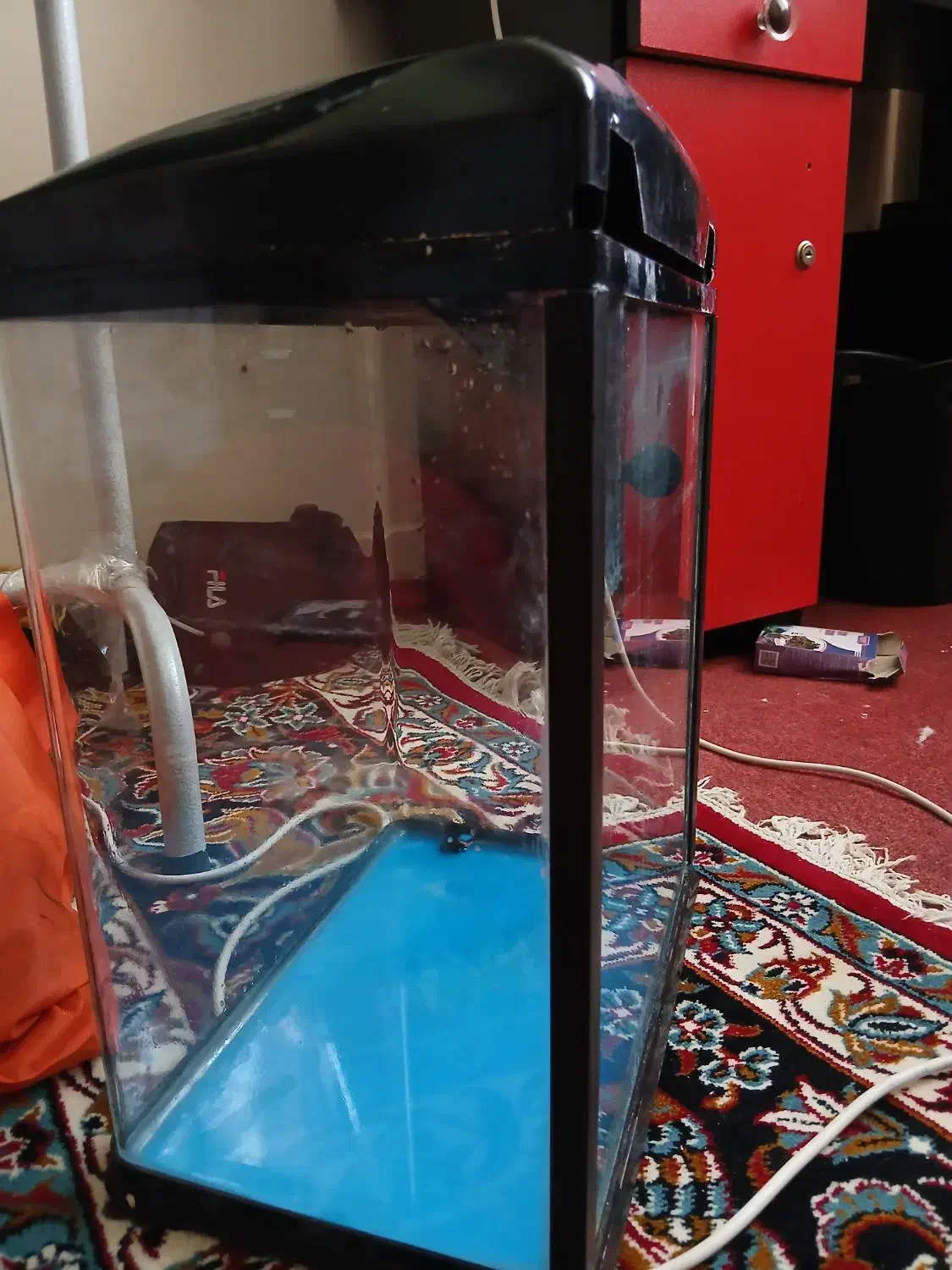 آکواریوم aqua bt300|ماهی|آفتاب, |دیوار