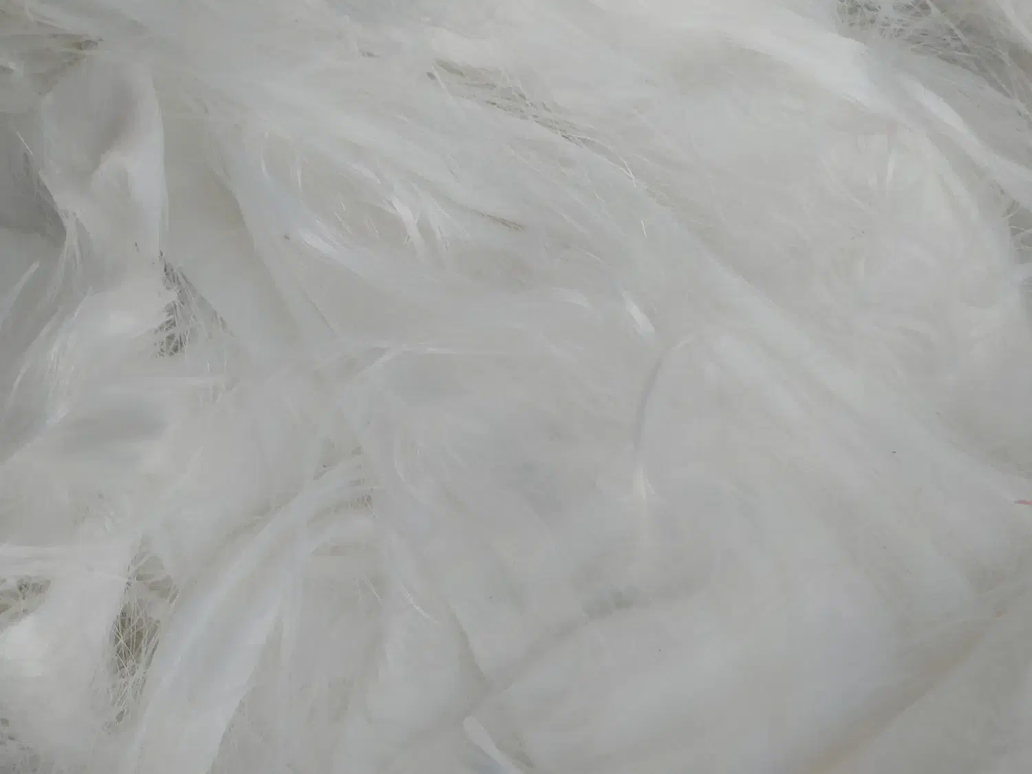 کارگر ساده اتباع|استخدام سرایداری و نظافت|رباط‌کریم, رباط‌کریم|دیوار