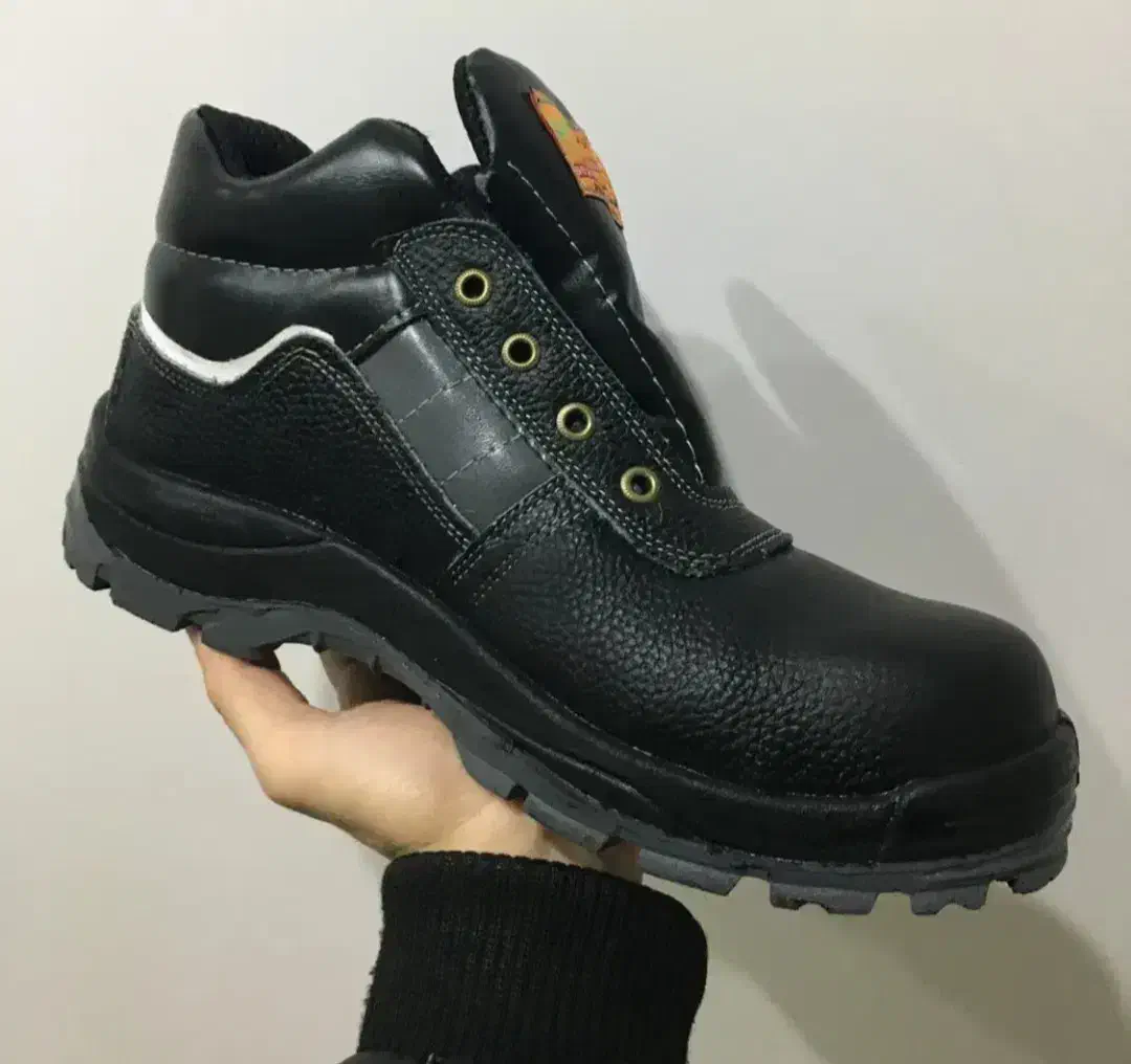 کفش کار ایمنی|کیف، کفش، کمربند|ساری, |دیوار