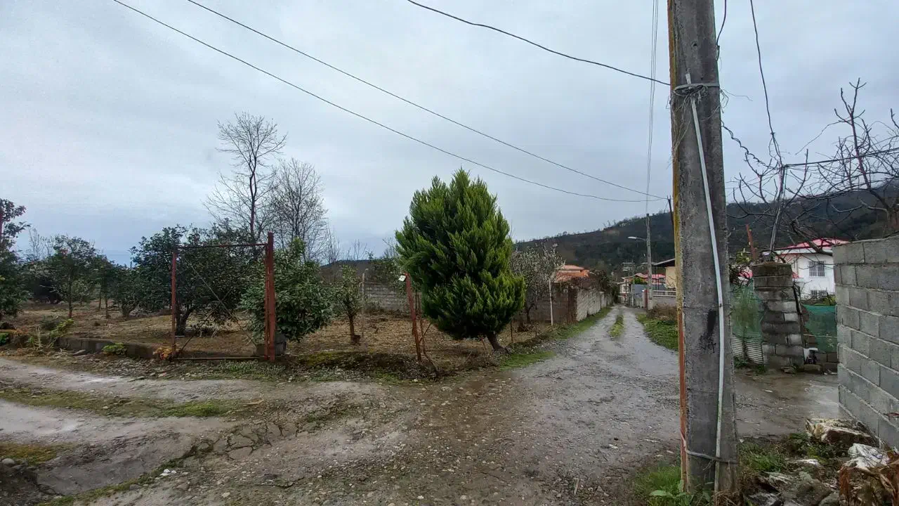 فروش قطعه زمین به مساحت ۲۵۰ متر|فروش زمین و ملک کلنگی|رحیم‌آباد, |دیوار