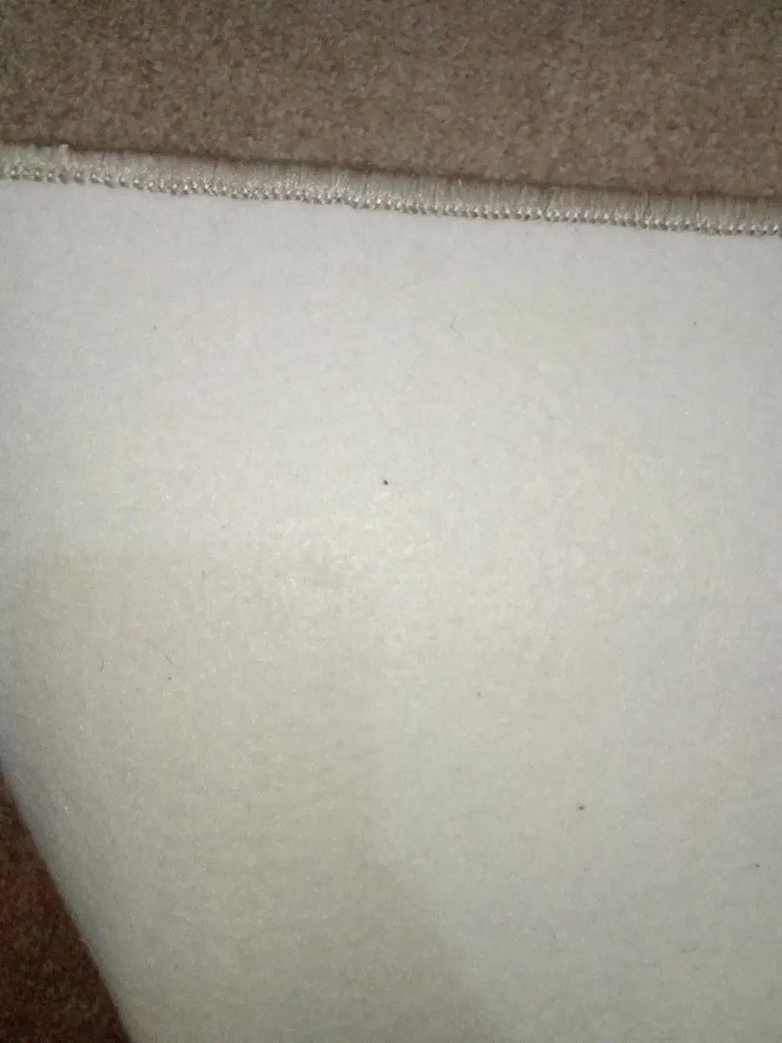 موکت|موکت|تبریز, |دیوار