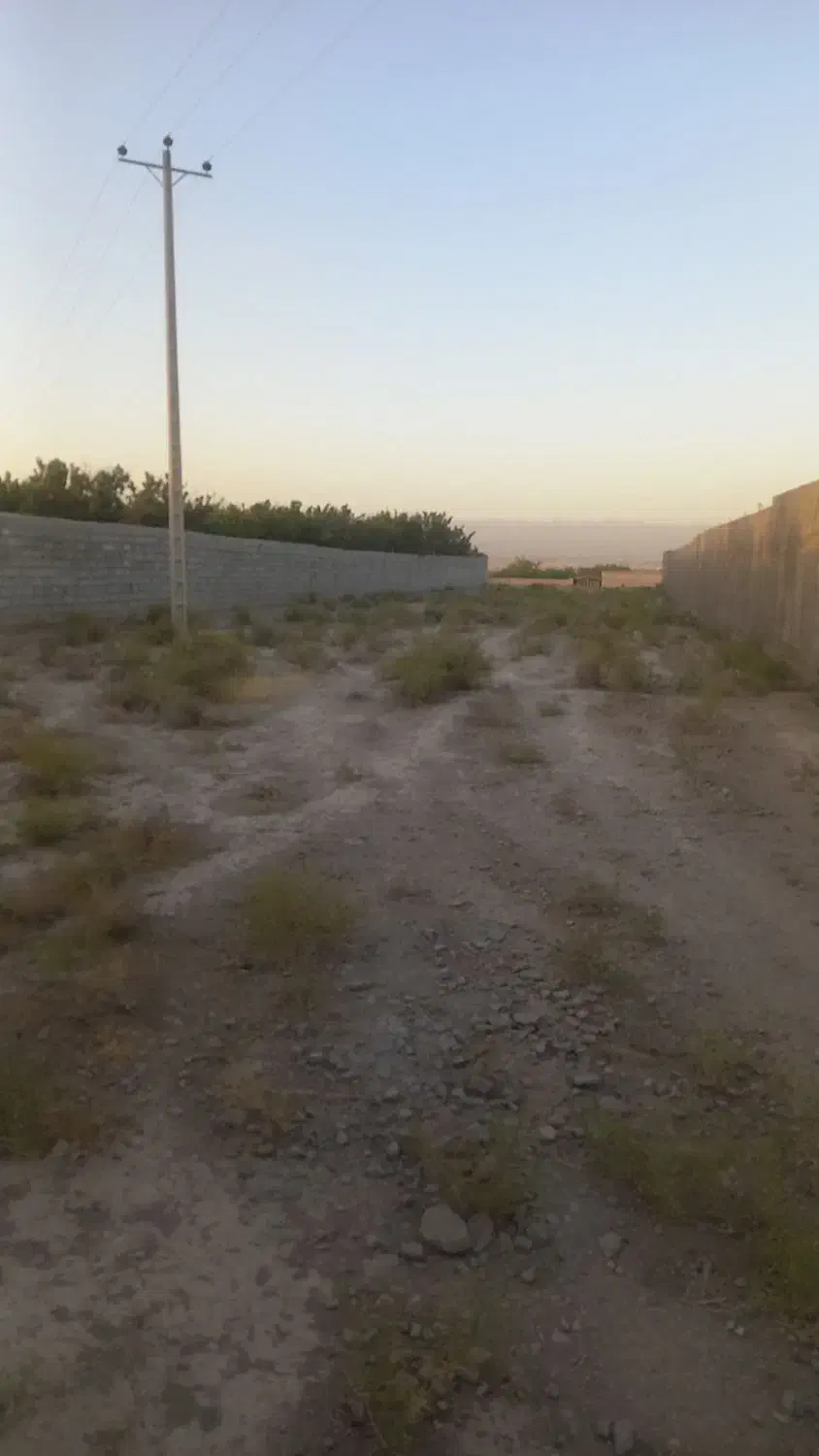 ۱۸۵۰متر زمین مناسب باغ سوله گلخانه وغیره بازمرگان|فروش خانه و ویلا|مشهد, میان ولایت|دیوار