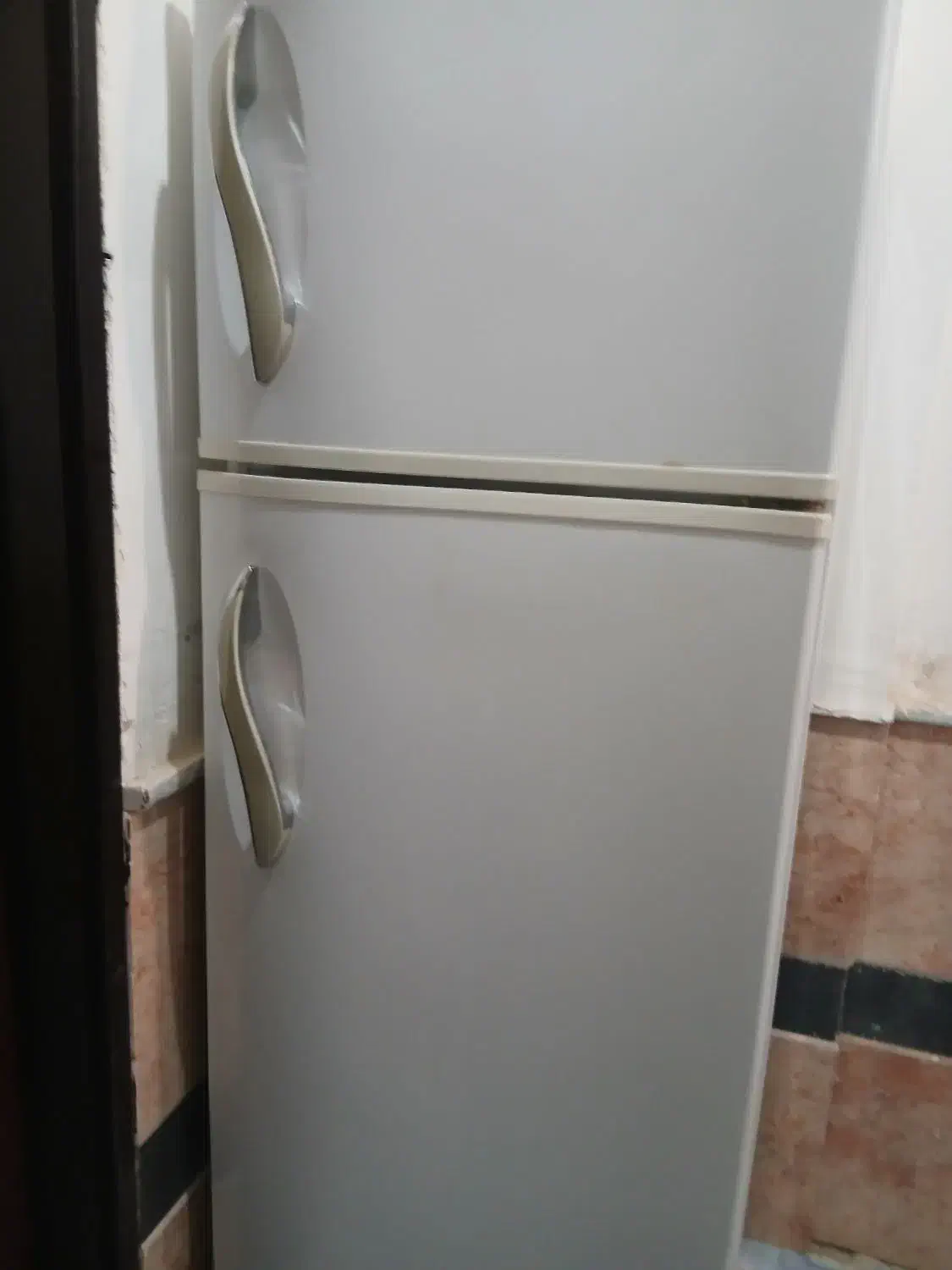 فروش یخچال|یخچال و فریزر|نورآباد, |دیوار