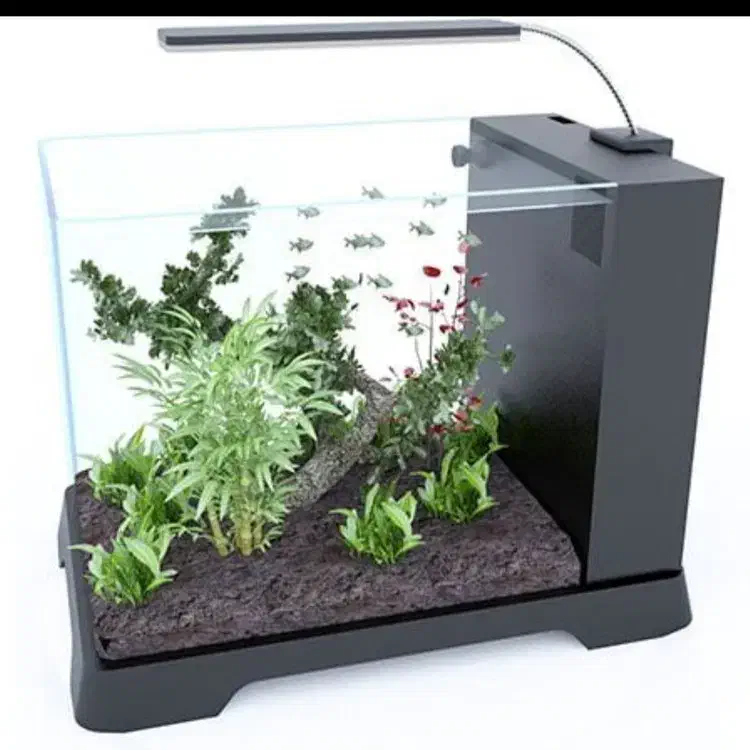 آکواریوم b102 دلسا|ماهی|قم, عمار یاسر|دیوار