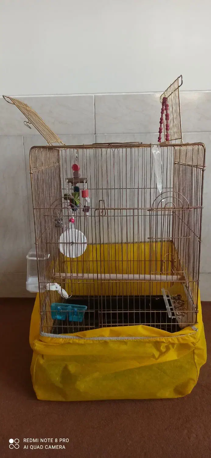 قفسپرندهمخصوصقناری.عروسهلندی.قفسنومیباشد|لوازم جانبی حیوانات|بروجن, |دیوار
