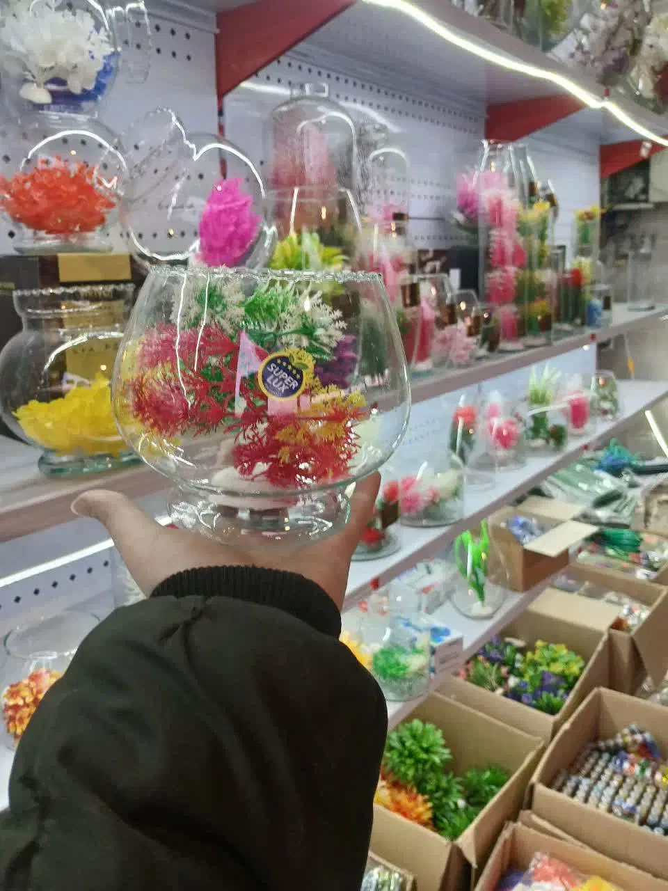 فروش انواع تنگ ماهی قرمز به صورت عمده|ماهی|قم, یزدانشهر|دیوار