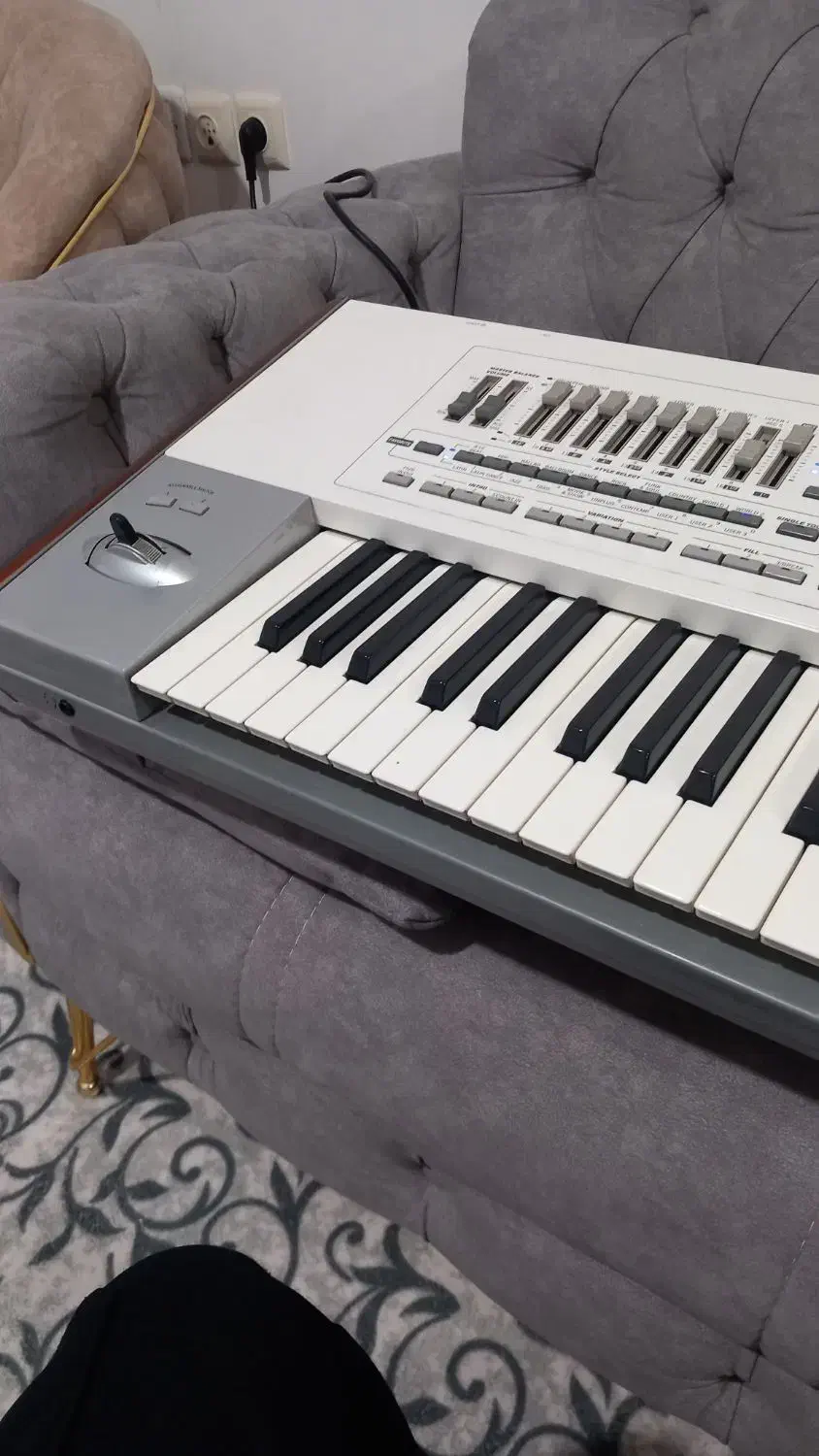 کرگpax2|پیانو، کیبورد، آکاردئون|اشنویه, |دیوار