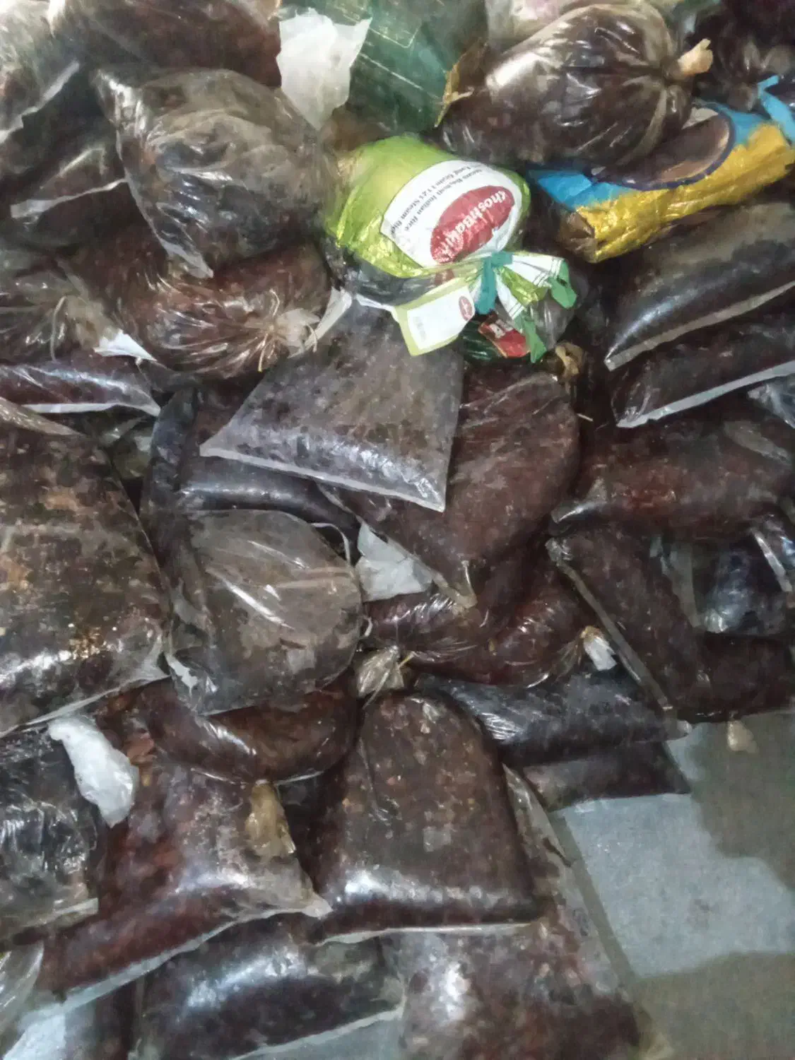 خرما|خوردنی و آشامیدنی|زاهدان, |دیوار