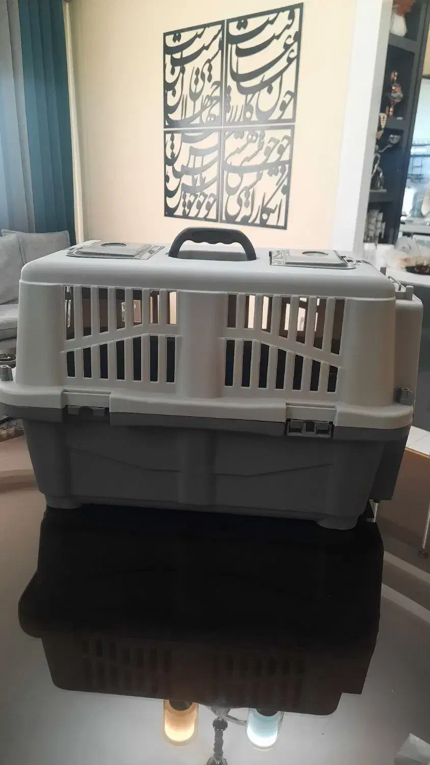 باکس سگ و گربه|لوازم جانبی حیوانات|پردیس, فاز ۱۱|دیوار